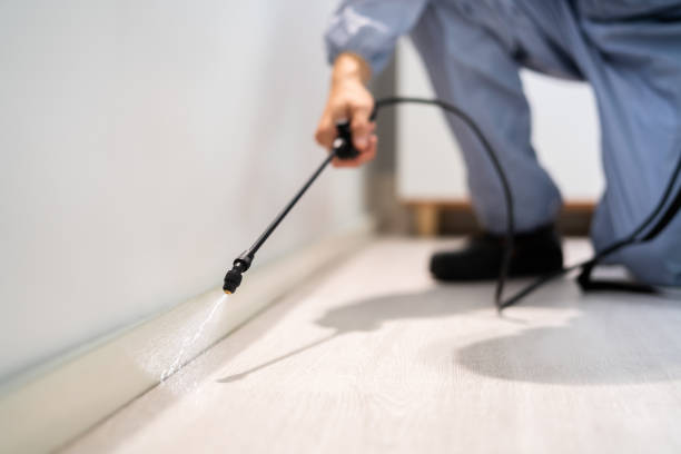 Rodent Entry Point Assessment in Warren