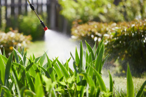 Tamper-Resistant Bait Stations for Rodents in Warren